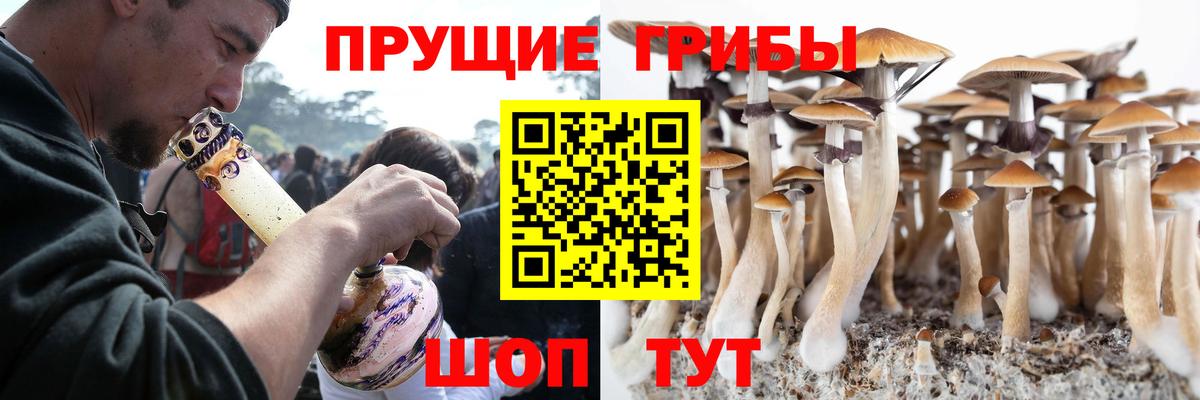 Советская Гавань  Псилоцибиновые грибы GOLDEN TEACHER  Вход с VPN  где купить наркотик  Галлюциногенные грибы Psilocybine cubensis 